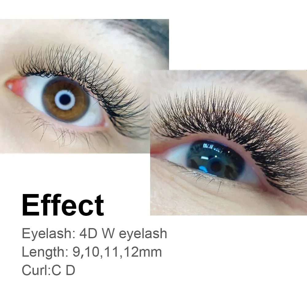 4d w shape volume lashes yy lash extensions OwnWholesale